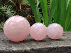 Polished Gemmy Rose Quartz Spheres x 3 From Madagascar