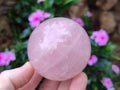 Polished Gemmy Rose Quartz Spheres x 3 From Madagascar