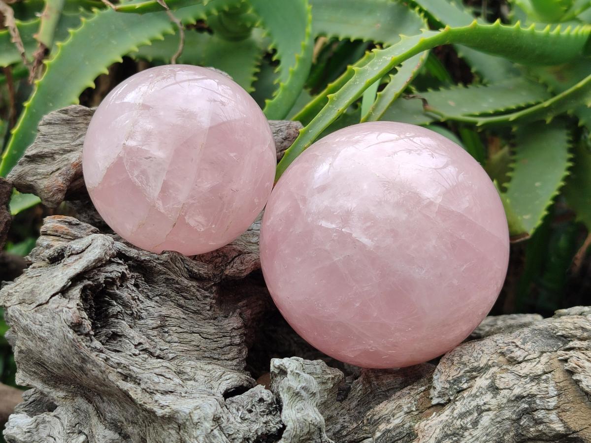Polished Gemmy Rose Quartz Spheres x 3 From Madagascar