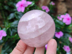 Polished Gemmy Rose Quartz Spheres x 3 From Madagascar