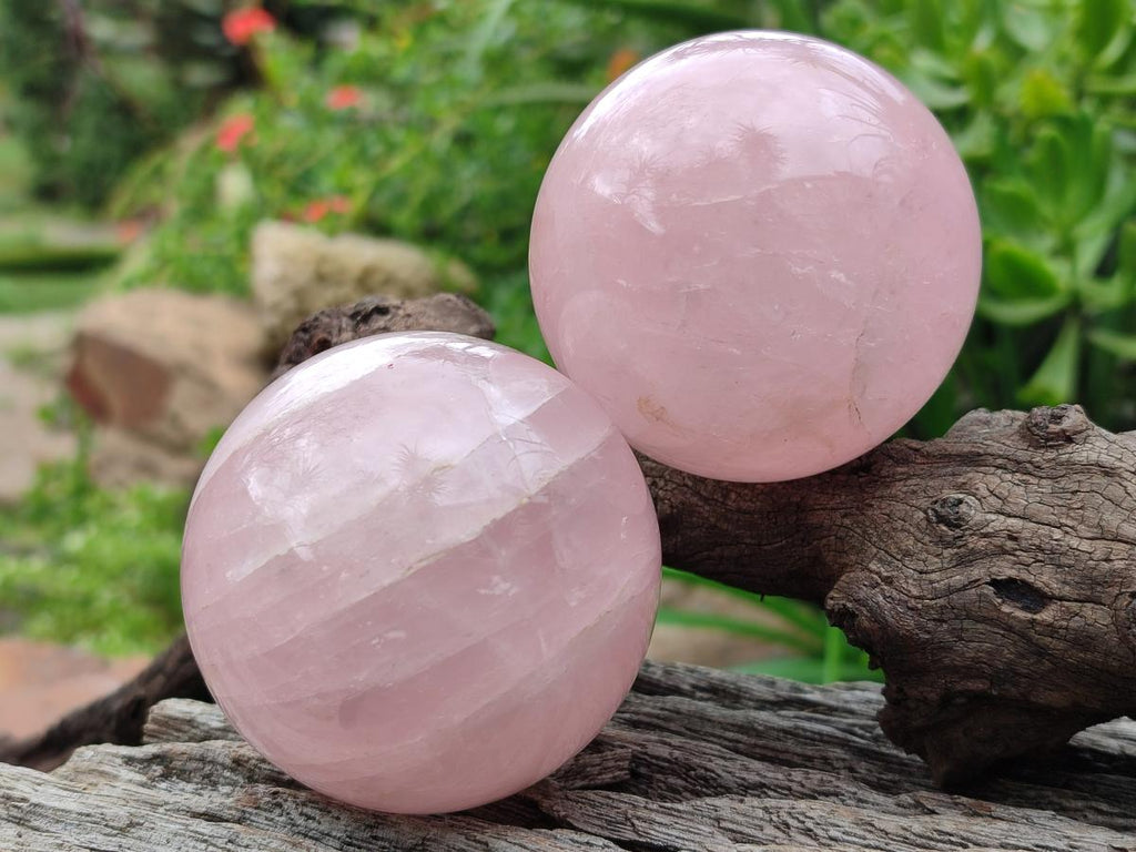 Polished Gemmy Rose Quartz Spheres x 3 From Madagascar