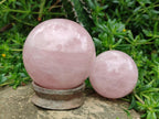 Polished Gemmy Rose Quartz Spheres x 3 From Madagascar