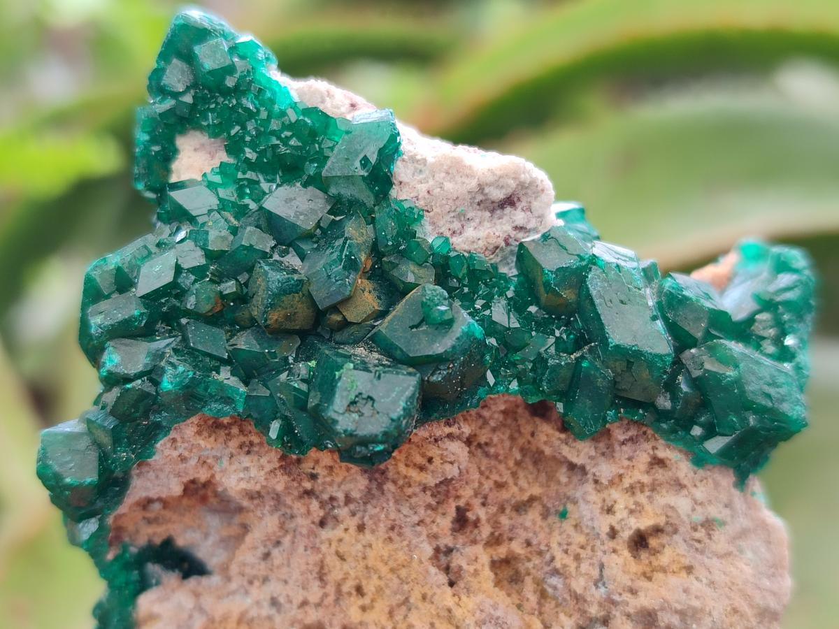 Natural Cabinet Size Dioptase Specimens on Dolomite Matrix x 3 From Tantara Mine, Congo