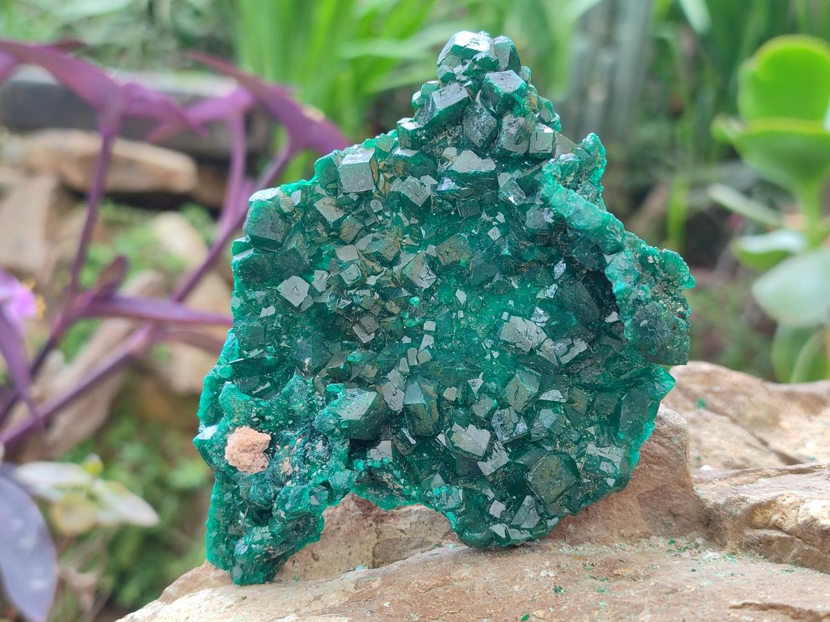 Natural Cabinet Size Dioptase Specimens on Dolomite Matrix x 3 From Tantara Mine, Congo