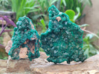 Natural Cabinet Size Dioptase Specimens on Dolomite Matrix x 3 From Tantara Mine, Congo