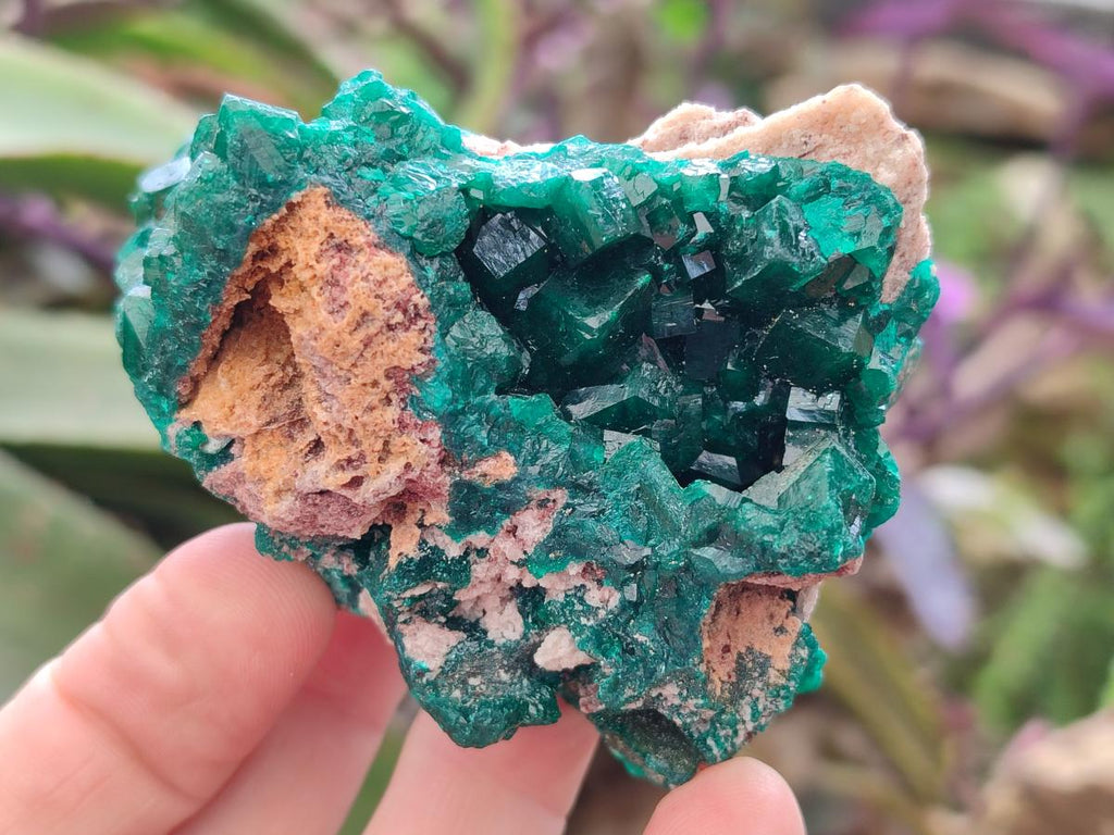 Natural Cabinet Size Dioptase Specimens on Dolomite Matrix x 3 From Tantara Mine, Congo