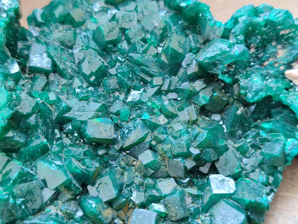 Natural Cabinet Size Dioptase Specimens on Dolomite Matrix x 3 From Tantara Mine, Congo