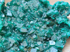 Natural Cabinet Size Dioptase Specimens on Dolomite Matrix x 3 From Tantara Mine, Congo