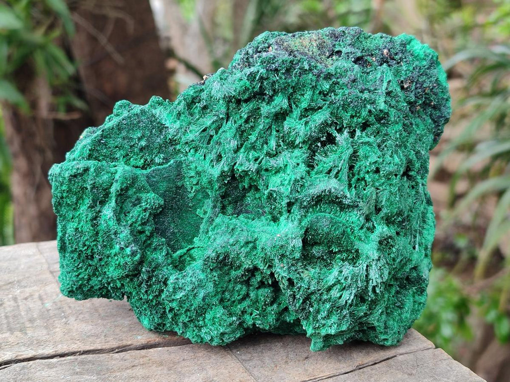 Natural Silky Malachite Specimens x 2 From Kasompe, Congo