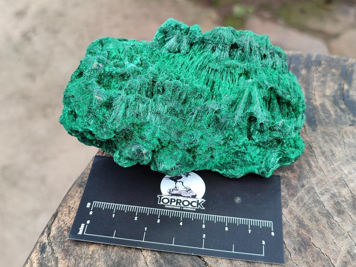 Natural Silky Malachite Specimens x 2 From Kasompe, Congo