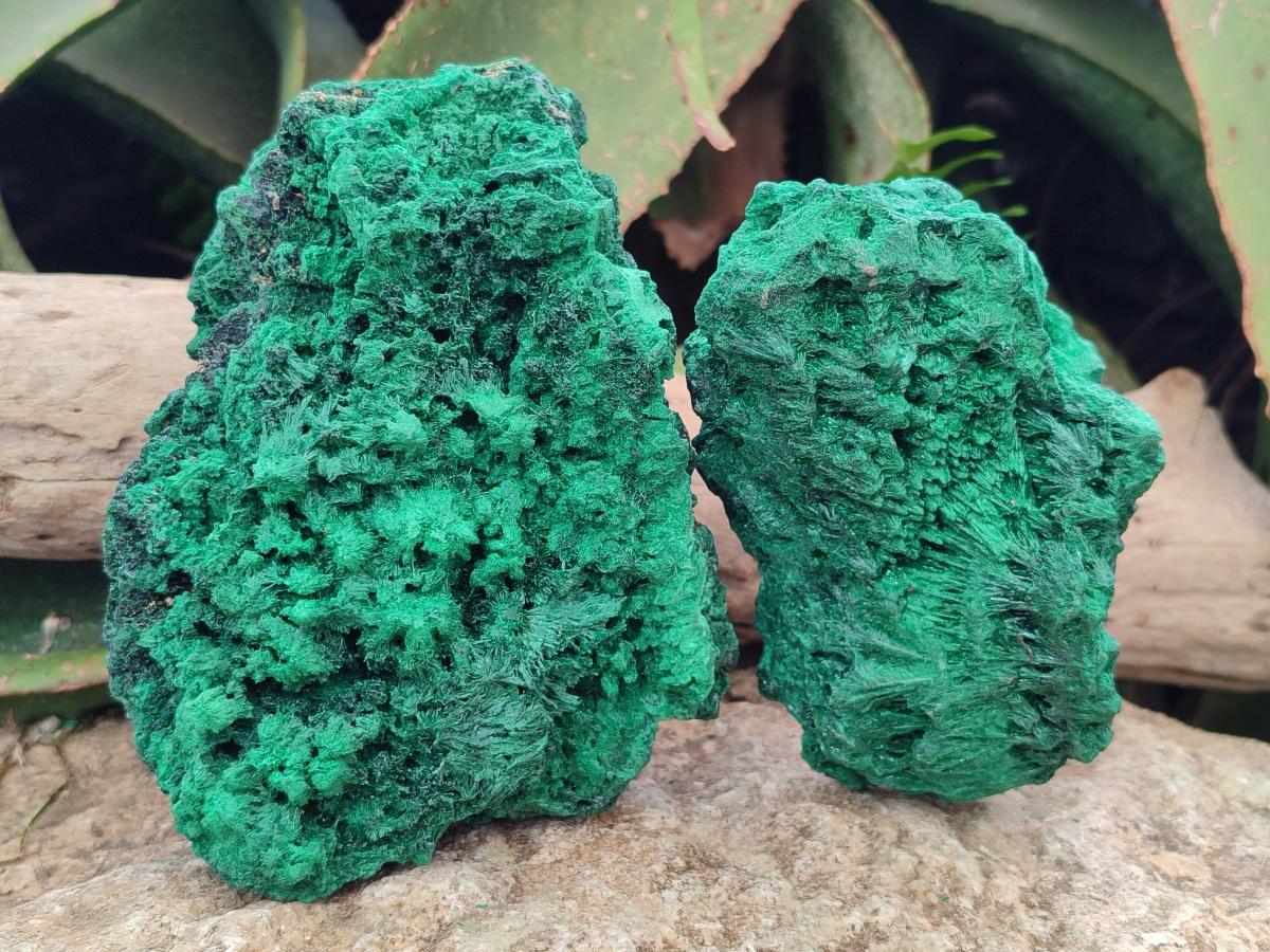 Natural Silky Malachite Specimens x 2 From Kasompe, Congo