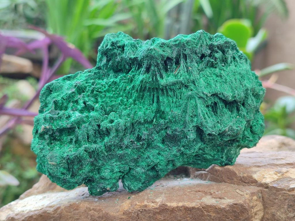 Natural Silky Malachite Specimens x 2 From Kasompe, Congo