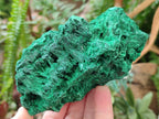 Natural Silky Malachite Specimens x 2 From Kasompe, Congo