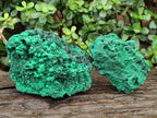 Natural Silky Malachite Specimens x 2 From Kasompe, Congo