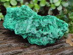 Natural Silky Malachite Specimens x 2 From Kasompe, Congo