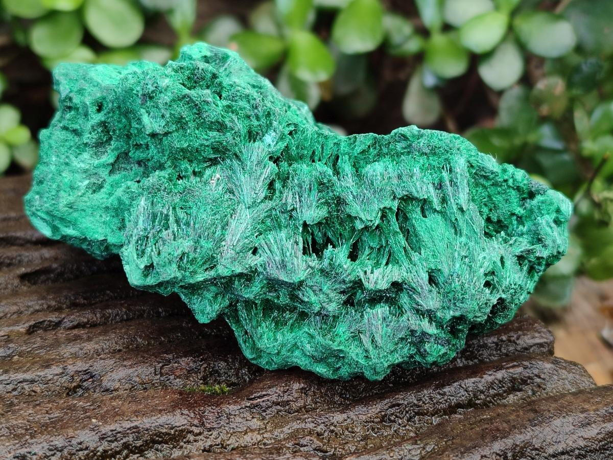Natural Silky Malachite Specimens x 2 From Kasompe, Congo