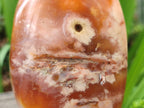 Polished and Natural Flower Agate Standing Display Pieces x 2 From Antsahalova, Madagascar