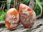 Polished and Natural Flower Agate Standing Display Pieces x 2 From Antsahalova, Madagascar