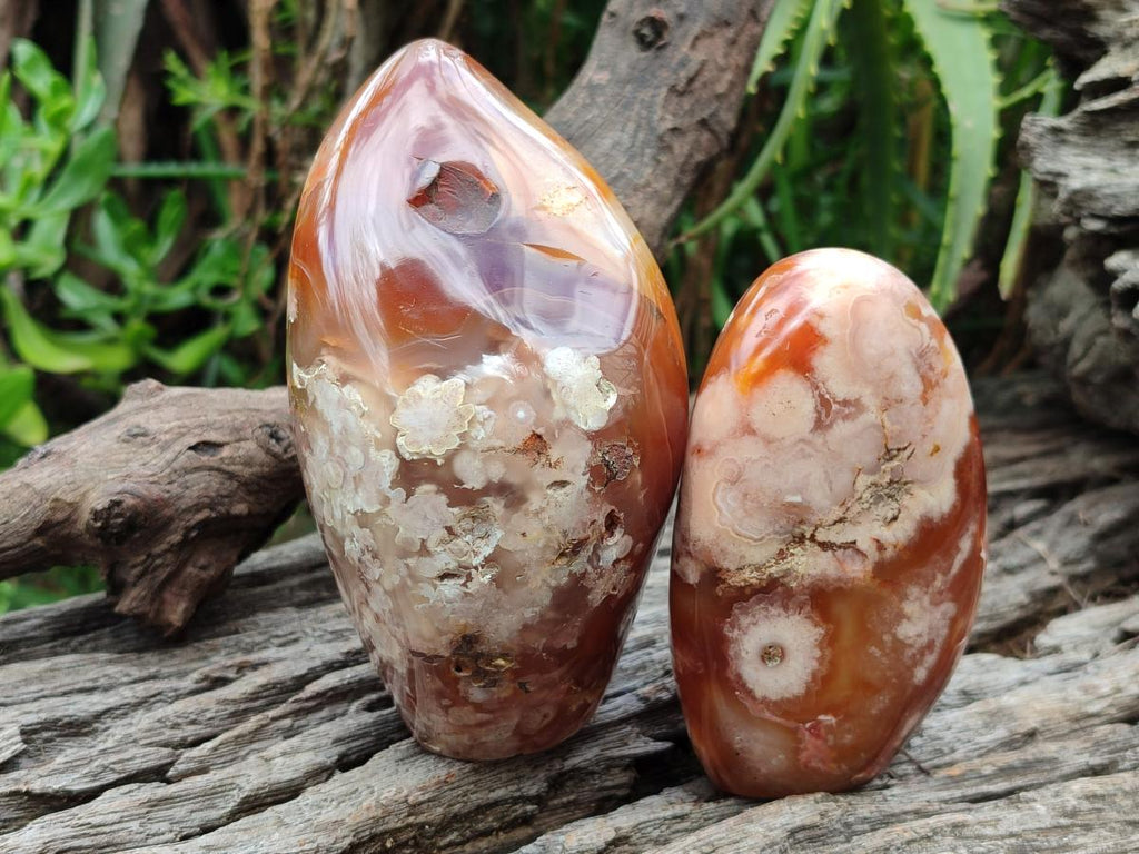 Polished and Natural Flower Agate Standing Display Pieces x 2 From Antsahalova, Madagascar