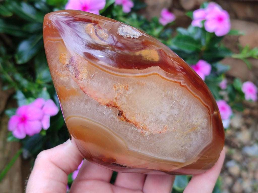 Polished and Natural Flower Agate Standing Display Pieces x 2 From Antsahalova, Madagascar