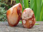 Polished and Natural Flower Agate Standing Display Pieces x 2 From Antsahalova, Madagascar