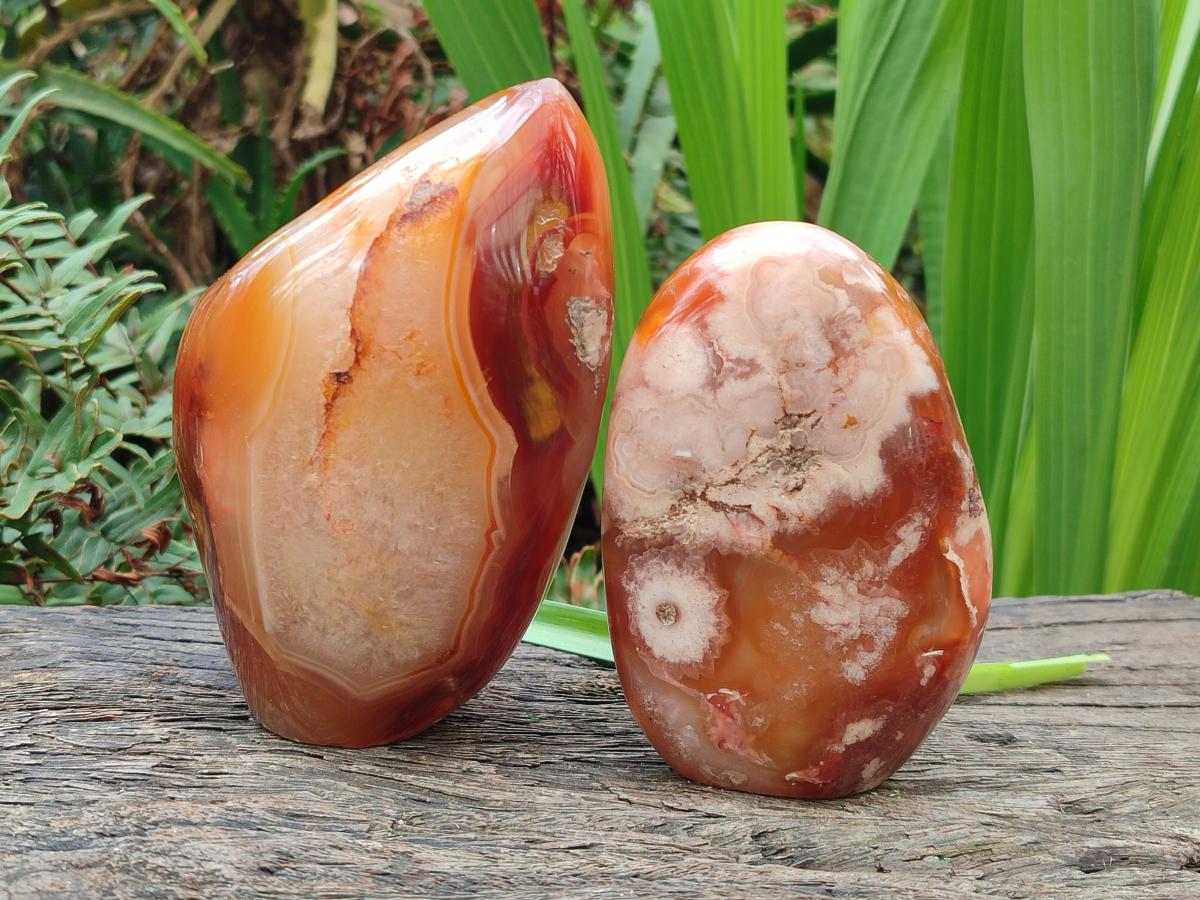Polished and Natural Flower Agate Standing Display Pieces x 2 From Antsahalova, Madagascar