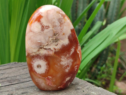 Polished and Natural Flower Agate Standing Display Pieces x 2 From Antsahalova, Madagascar