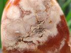 Polished and Natural Flower Agate Standing Display Pieces x 2 From Antsahalova, Madagascar