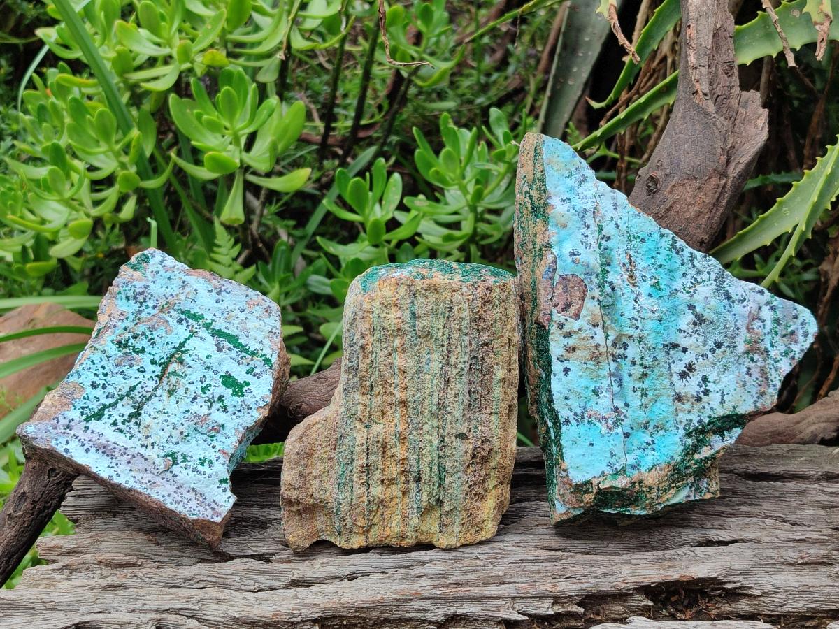 Natural Drusy Coated Chrysocolla Specimens with Malachite and Heterogenite x 3 From Lupoto Mine, Congo