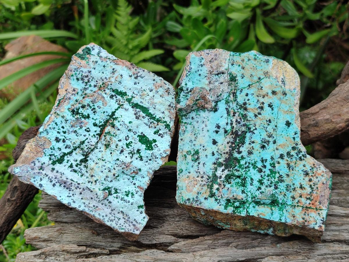Natural Drusy Coated Chrysocolla Specimens with Malachite and Heterogenite x 3 From Lupoto Mine, Congo