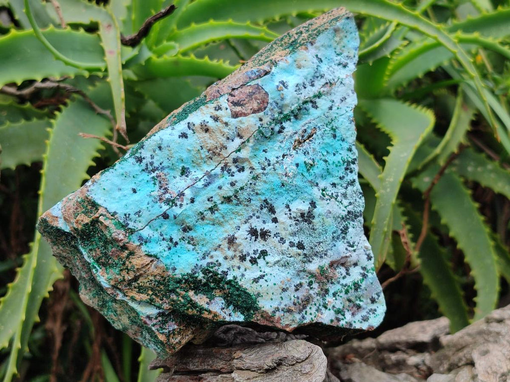 Natural Drusy Coated Chrysocolla Specimens with Malachite and Heterogenite x 3 From Lupoto Mine, Congo