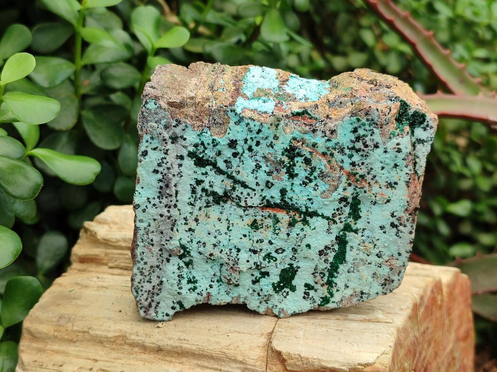 Natural Drusy Coated Chrysocolla Specimens with Malachite and Heterogenite x 3 From Lupoto Mine, Congo