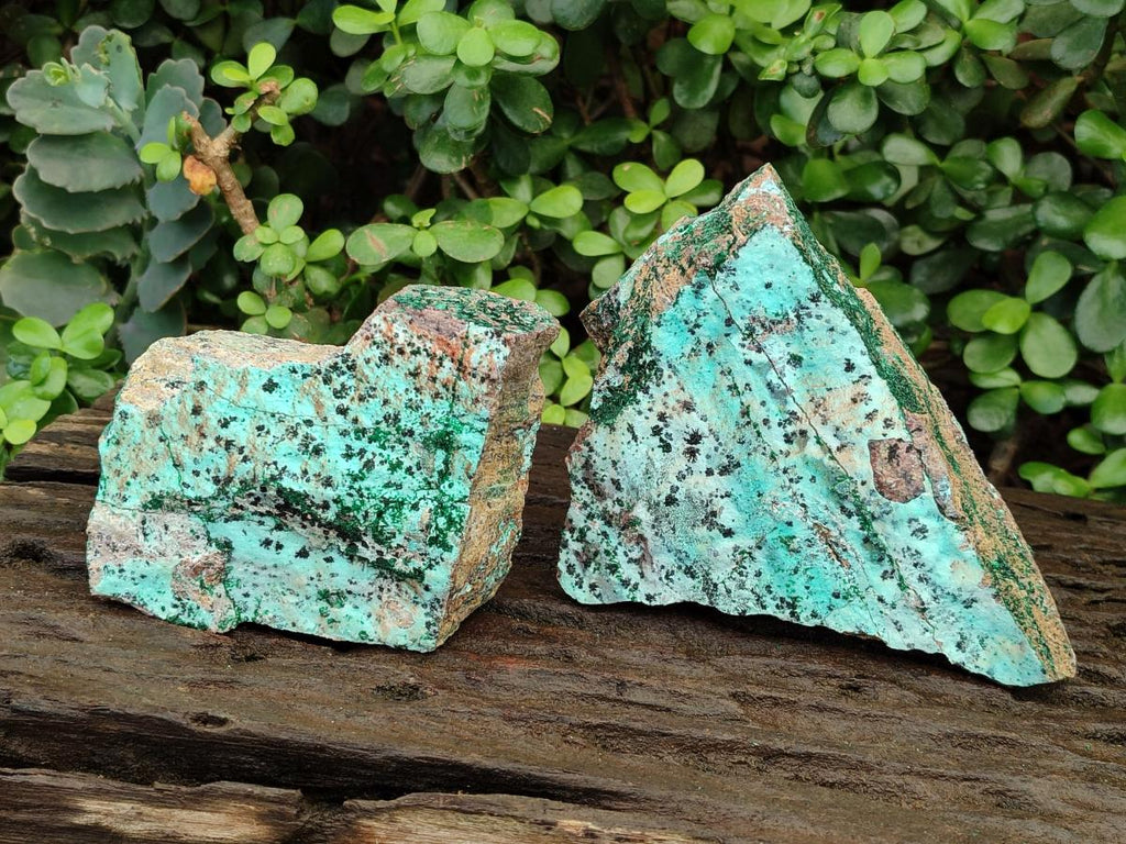 Natural Drusy Coated Chrysocolla Specimens with Malachite and Heterogenite x 3 From Lupoto Mine, Congo