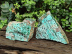 Natural Drusy Coated Chrysocolla Specimens with Malachite and Heterogenite x 3 From Lupoto Mine, Congo