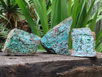 Natural Drusy Coated Chrysocolla Specimens with Malachite and Heterogenite x 3 From Lupoto Mine, Congo