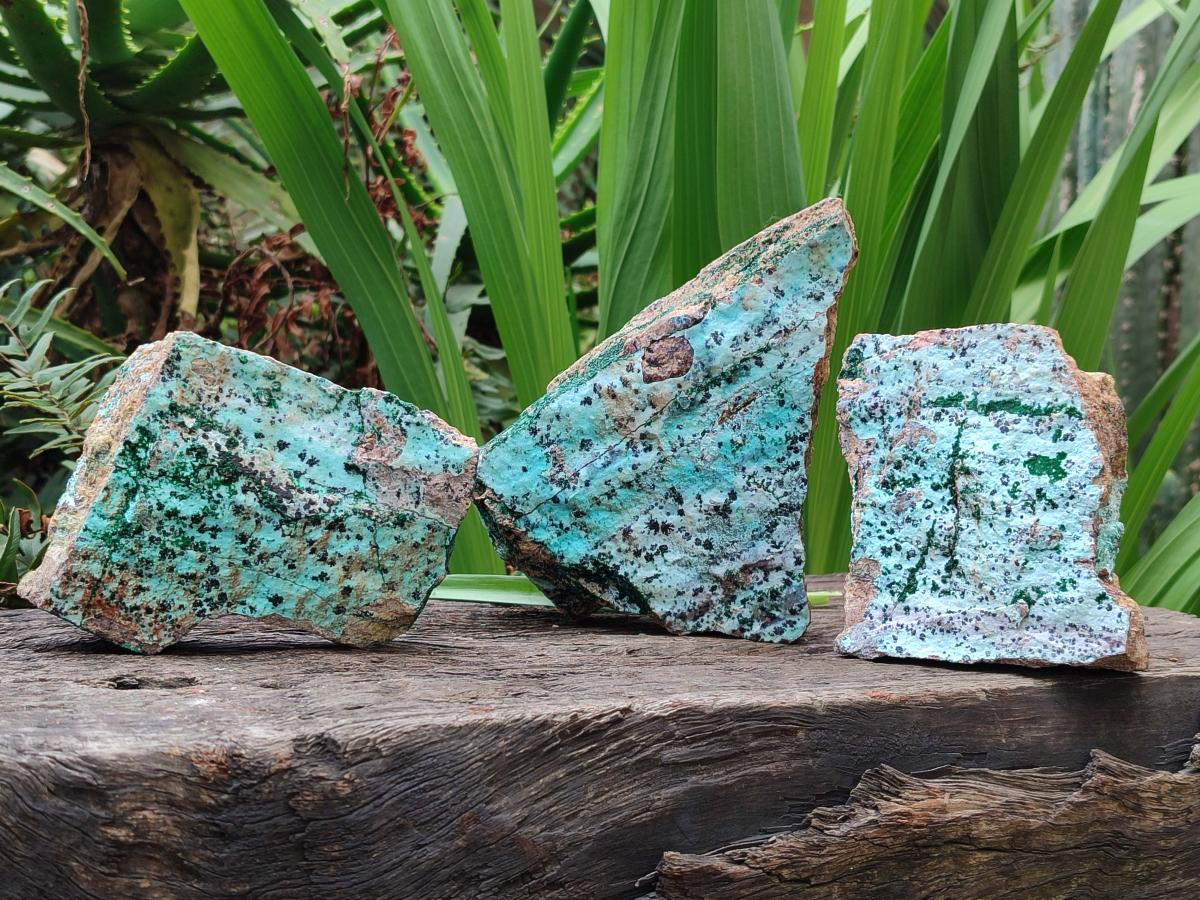Natural Drusy Coated Chrysocolla Specimens with Malachite and Heterogenite x 3 From Lupoto Mine, Congo