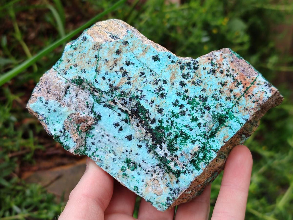 Natural Drusy Coated Chrysocolla Specimens with Malachite and Heterogenite x 3 From Lupoto Mine, Congo