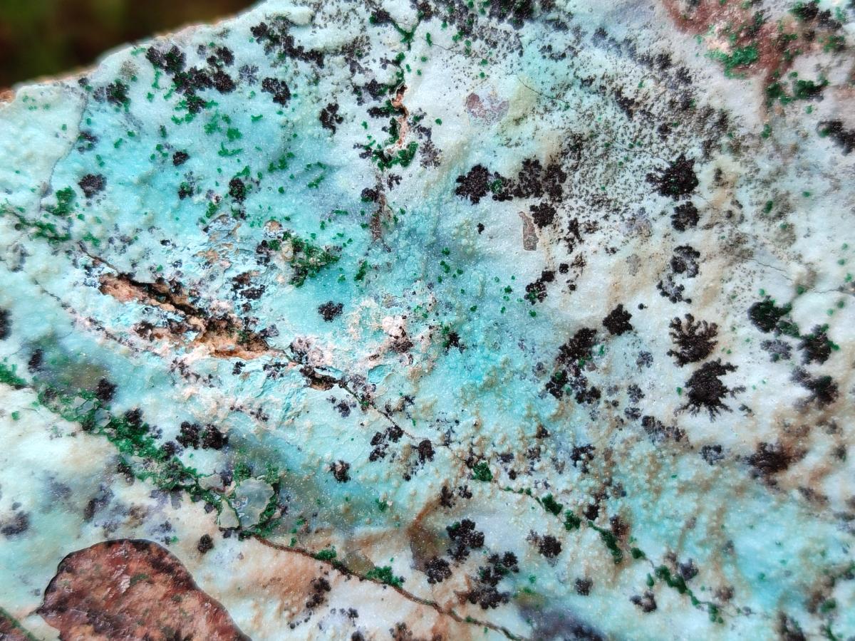 Natural Drusy Coated Chrysocolla Specimens with Malachite and Heterogenite x 3 From Lupoto Mine, Congo