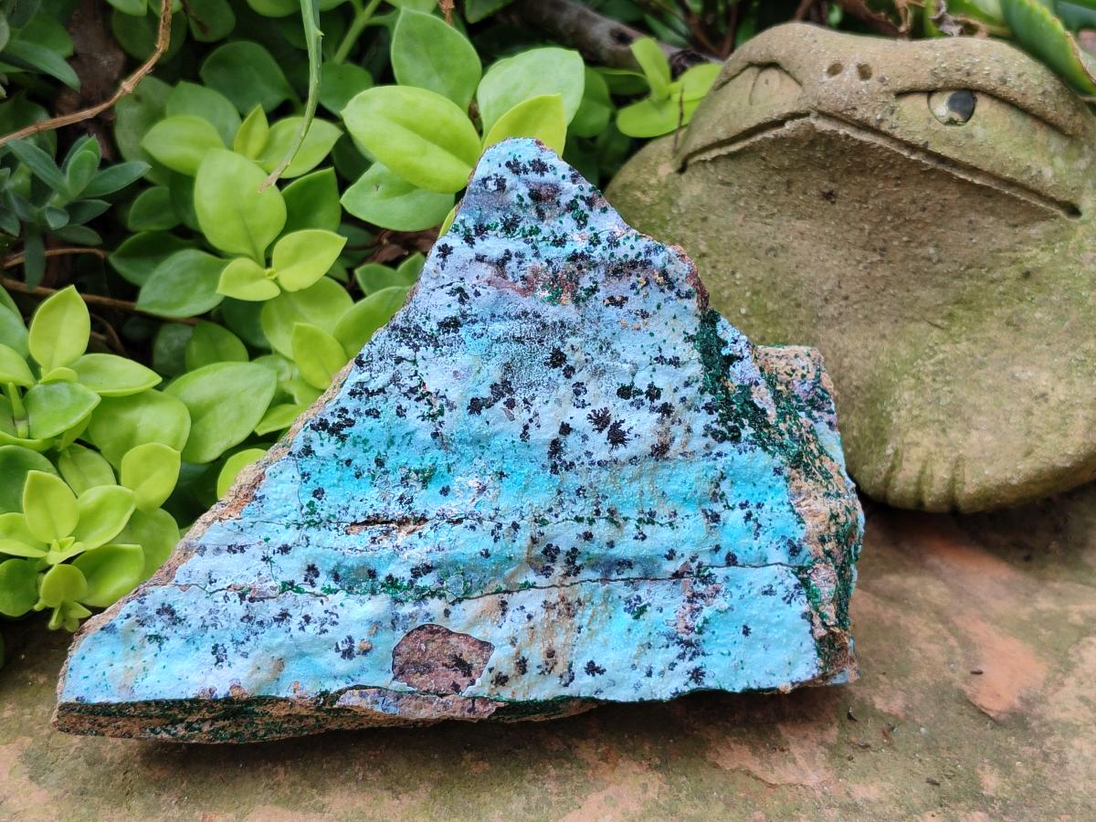 Natural Drusy Coated Chrysocolla Specimens with Malachite and Heterogenite x 3 From Lupoto Mine, Congo