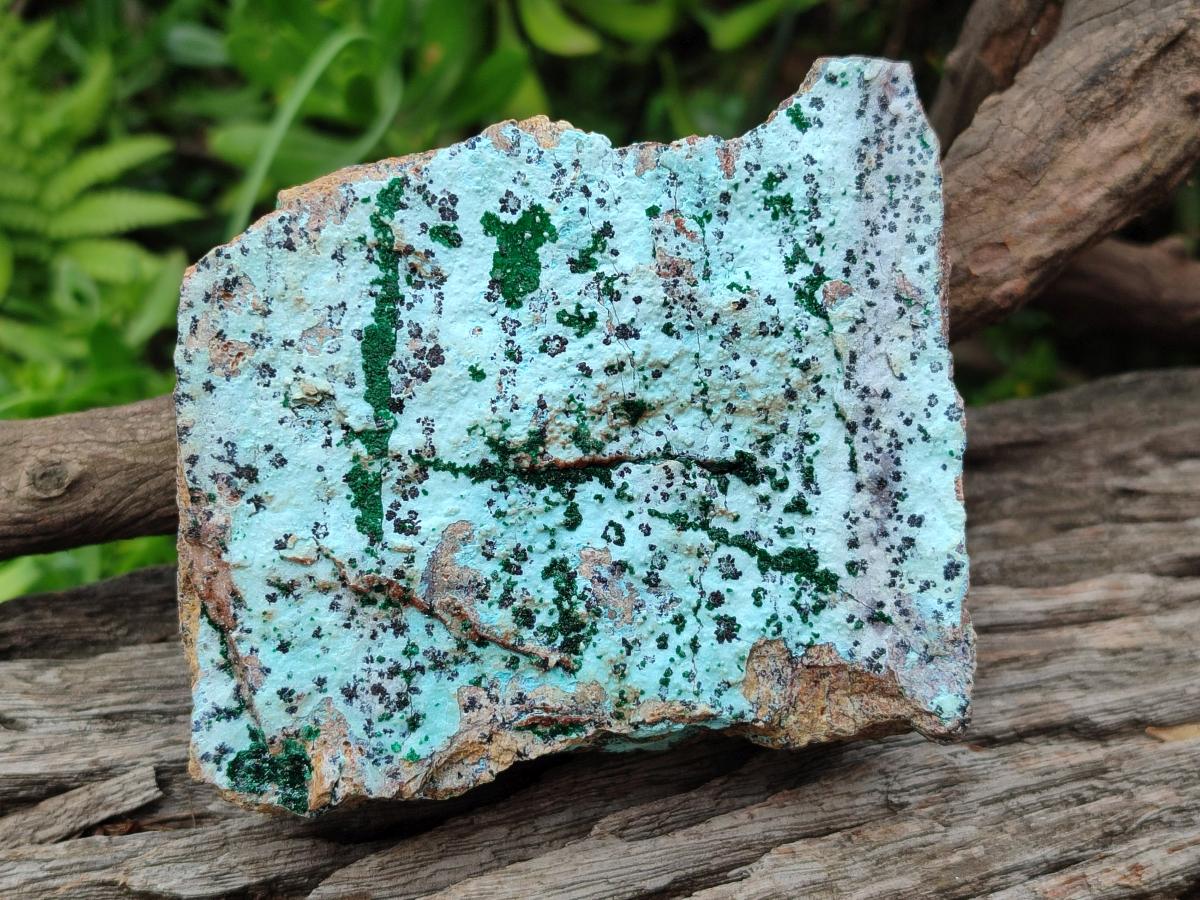 Natural Drusy Coated Chrysocolla Specimens with Malachite and Heterogenite x 3 From Lupoto Mine, Congo