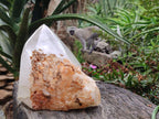 Polished and Natural Large Clear Quartz Display Crystal x 1 From Madagascar
