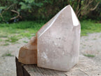 Polished and Natural Large Clear Quartz Display Crystal x 1 From Madagascar