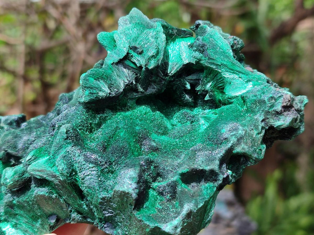 Natural Large Silky Malachite Specimen x 1 From Kasompe, Congo