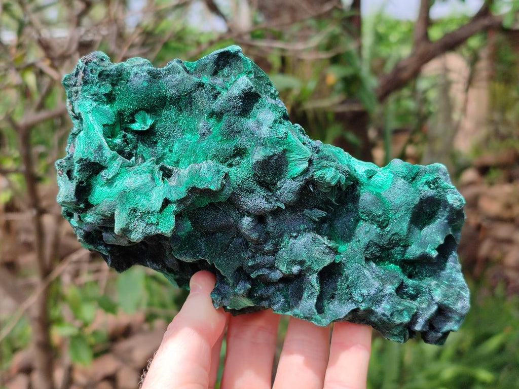Natural Large Silky Malachite Specimen x 1 From Kasompe, Congo
