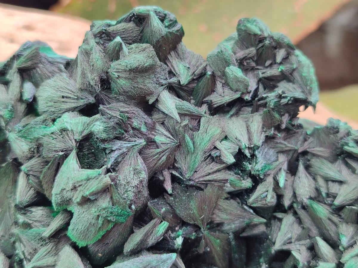 Natural Large Silky Malachite Specimen x 1 From Kasompe, Congo