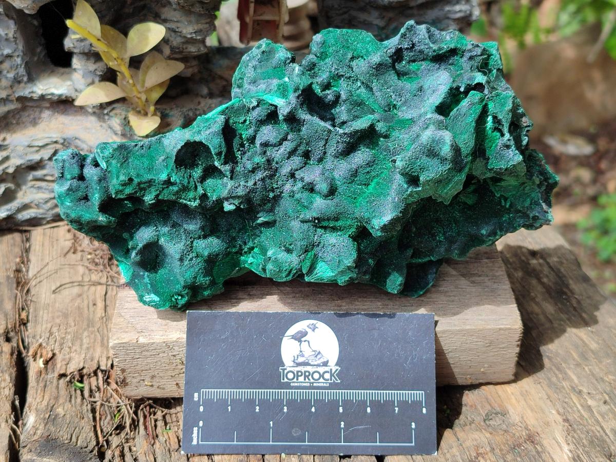 Natural Large Silky Malachite Specimen x 1 From Kasompe, Congo