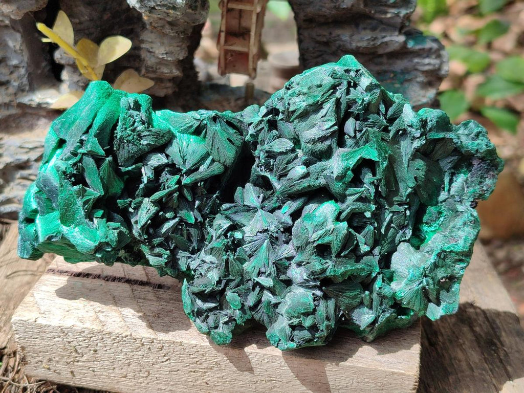 Natural Large Silky Malachite Specimen x 1 From Kasompe, Congo