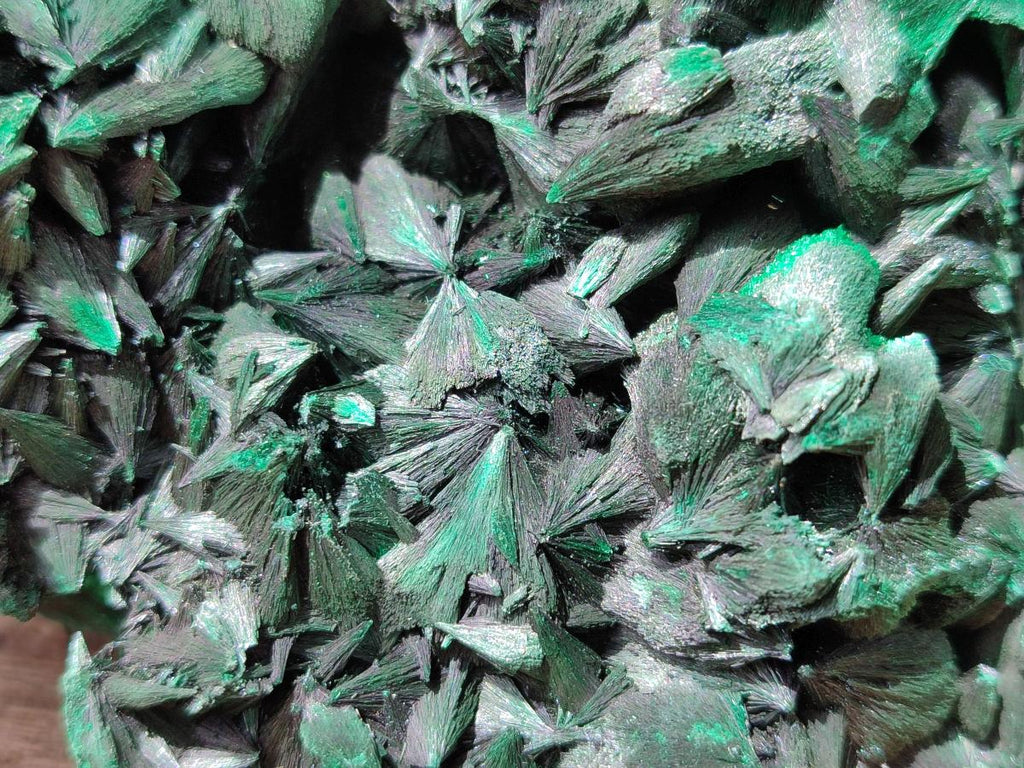 Natural Large Silky Malachite Specimen x 1 From Kasompe, Congo