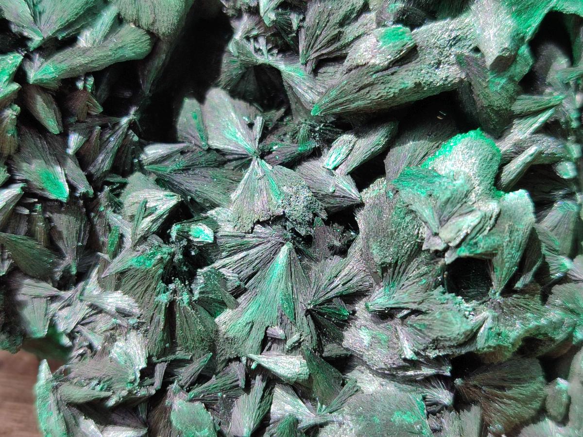 Natural Large Silky Malachite Specimen x 1 From Kasompe, Congo