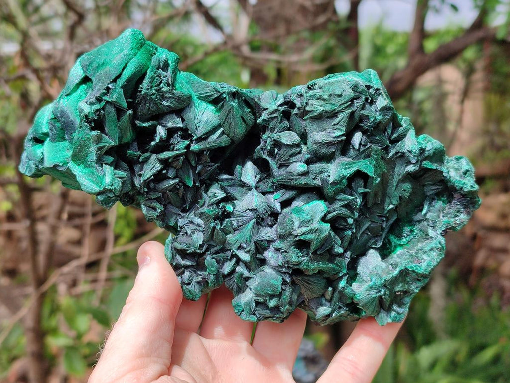 Natural Large Silky Malachite Specimen x 1 From Kasompe, Congo